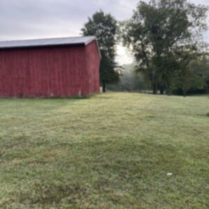 photo Early Morning at the Farm - Taken September 24, 2025, on a foggy morning during a dairy goat feeding shift. by Alyssa Stoffel