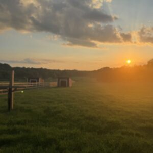 photo Summer Sunset - Taken at the cow field on July 11, 2025. by Amy Gilbert