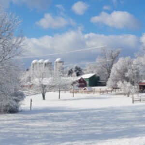 photo Winter Wonderland - Kinder Farm Park wrapped in a winter blanket after freshly fallen snow on a brisk Sunday Morning of December 12, 2025. by Margaux Carlin