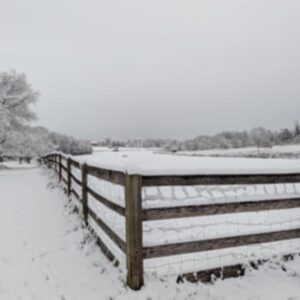 photo Frozen in Time - Taken from the cow field neat the Blackberry Trail on December 14, 2025. by Eric Larsen