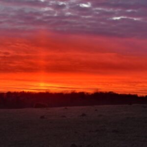 photo A Beautiful Sunset - Another striking sunset at Kinder Farm Park on a cold evening on February 3, 2025. by Gavin Carlin