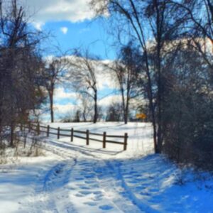 photo My Way or the Highway - Taken February 8, 2026, as an airplane on approach to BWI flew over the trail near the Hidden Pond. by Adam Pegues