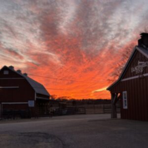 photo Kinder Winter Evening - Taken near the barn area on January 22, 2026. by Carey Stavrevski