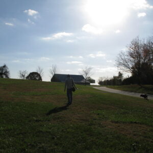 photo Walking the Dog -  by Melissa Drouin