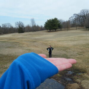 photo Giant Visit -  by Melinda Myers