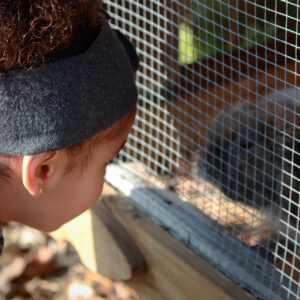 photo Cute Bunny -  by Cecilia Surodjawan