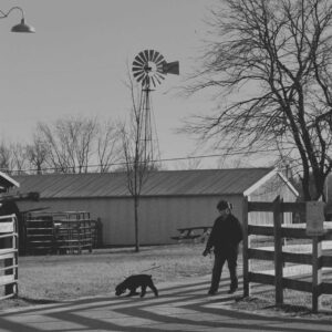 photo  by Martin McCann