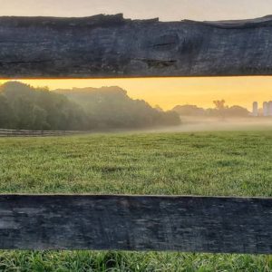 photo Farm Through a Fence - Taken from the Blackberry Trail at sunrise on August 1, 2020 by Michael Avent