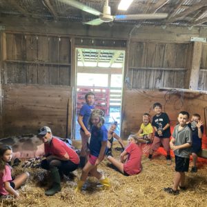 photo The Little Piggies - Taken in the small animal barn on September 5, 2020 by Tracy Mase