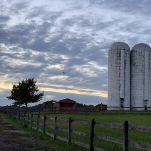 photo Silos - Taken while walking to the parking lot on October 6, 2022 by Marie Gannon